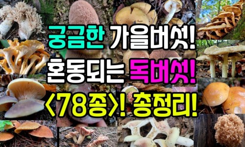 代谢的脂肪由什么方式排出去-人体是怎么代谢脂肪的网- 人体是怎么代谢脂肪的呢知识,分享人体是怎么代谢脂肪的原理